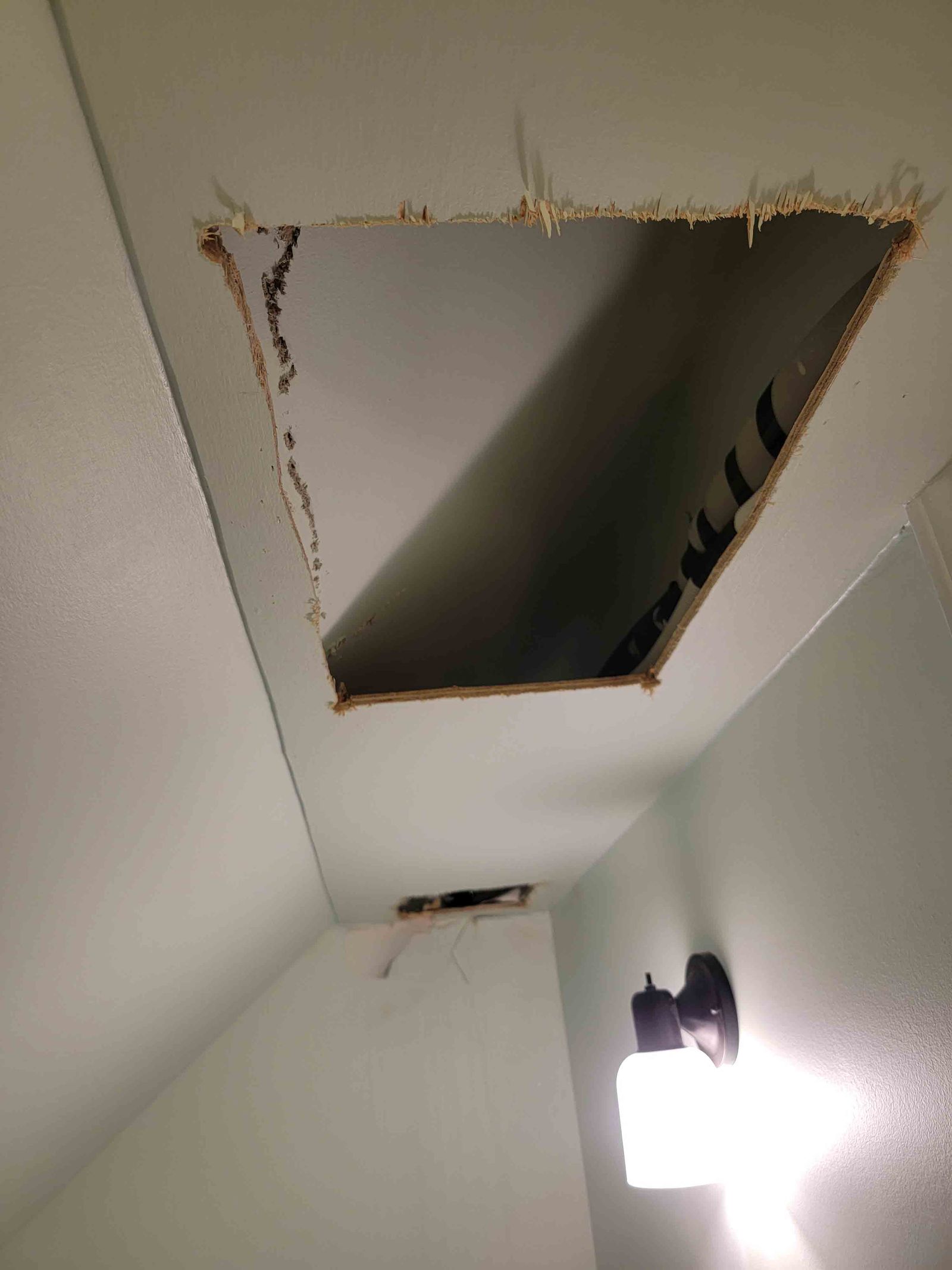 Ceiling Repair