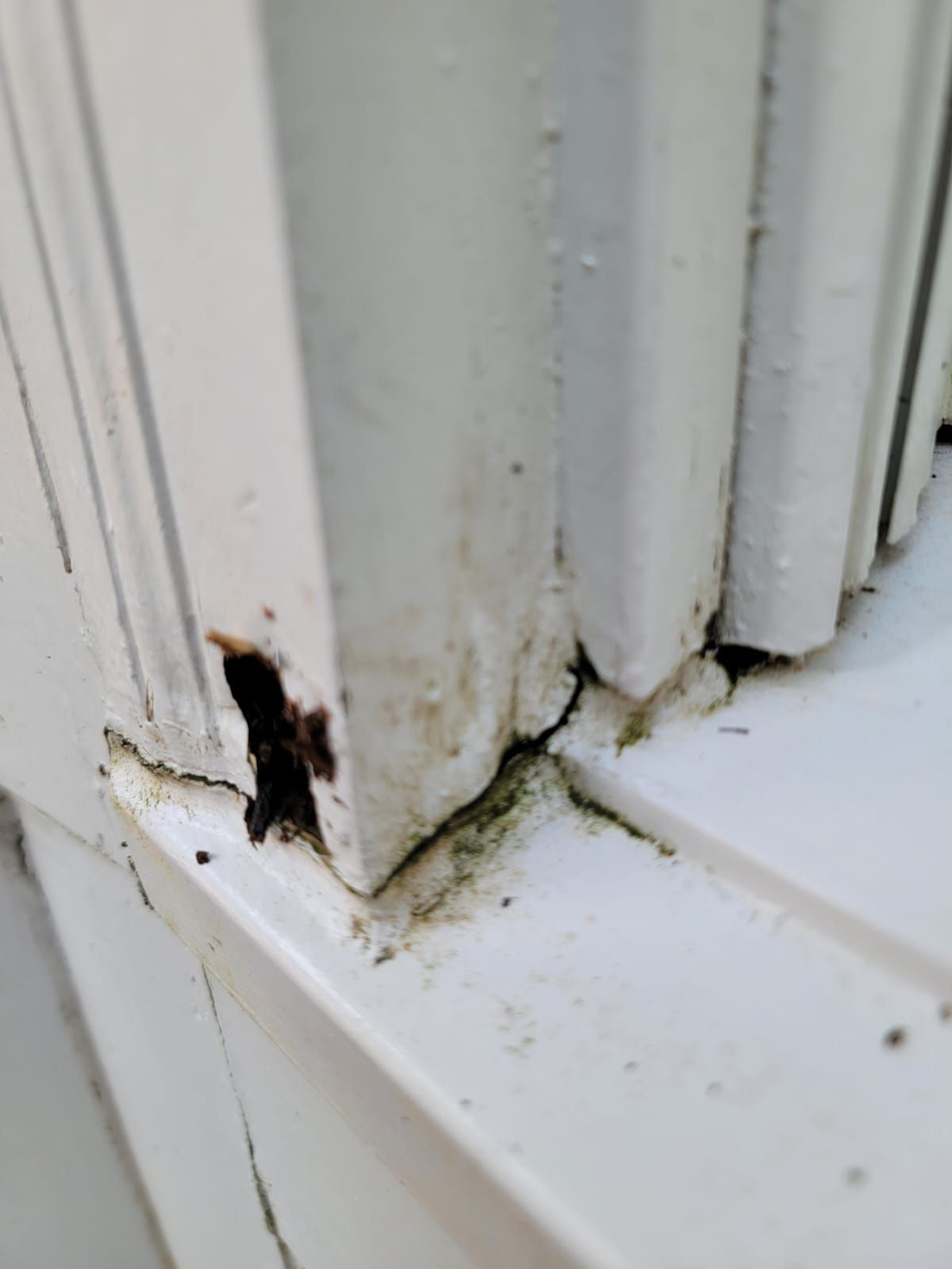 Exterior Wood Repair & Paint