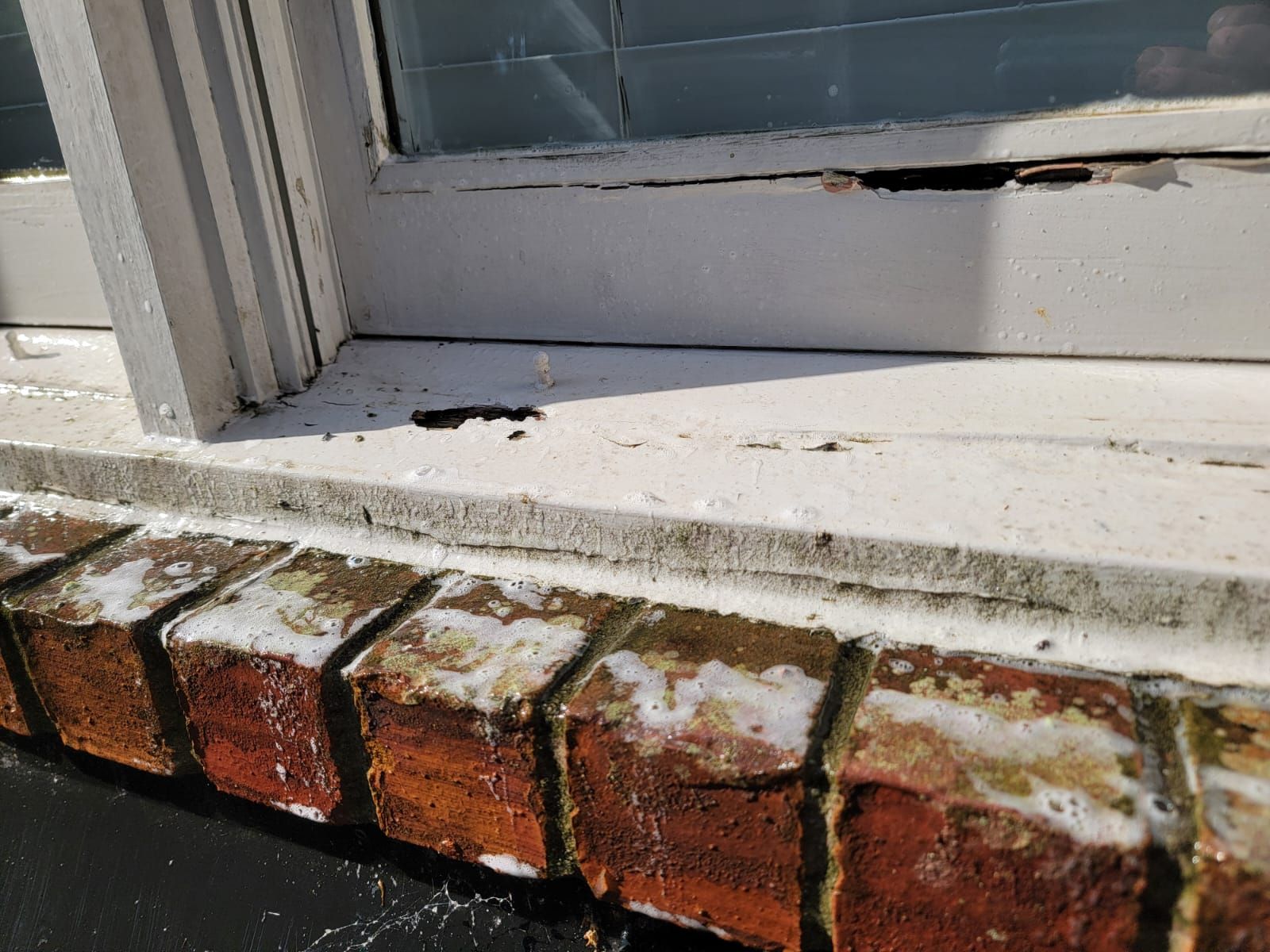 Interior & Exterior Painting